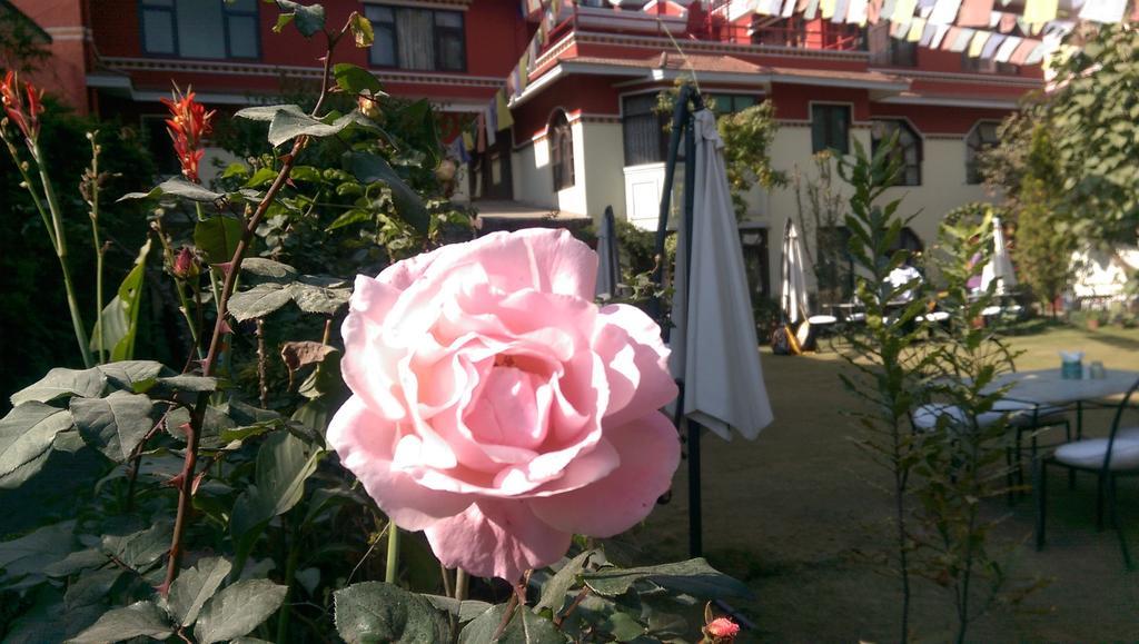 加德满都 若帕旅馆酒店 外观 照片